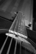 acoustic guitar