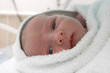 new born baby