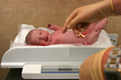 new born baby being weighed