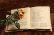 le livre à la rose