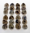 eggs5774