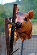 schwein gehabt 9