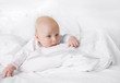 Photo: sea of blankets sea of blankets