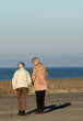 elderly females