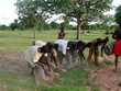 cultures au burkina faso cultures au burkina faso