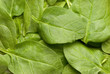 spinach