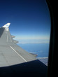 klm wings