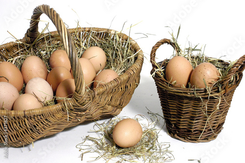 ne pas mettre tous ses oeufs dans le meme panier