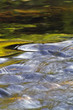 Foto: clear water clear water