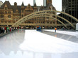 zamboni on skating rink in toronto