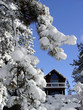 cabin in the snow woods