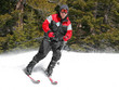 skier on a slope