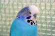 Foto: hansi-bubi hansi-bubi