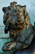lion - détail d'une statue