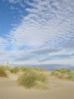 dunes