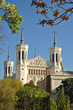 basilique de fourvière