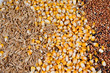 Foto: cereales cereales
