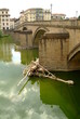 Foto: angesammelt angesammelt