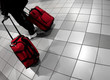 man with red bags at the airport