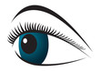 eye