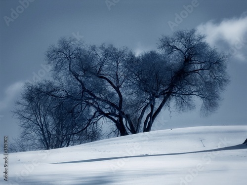 Photo: snow snow