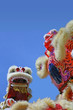 chinese lion dance chinese lion dance