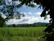 panorama frame