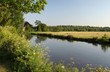 a summer's evening