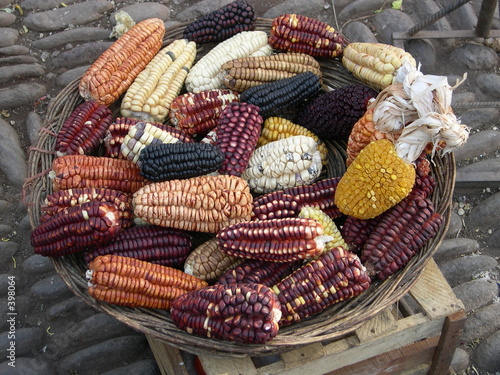corbeille de mais au perou