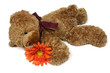 teddy and flower