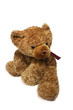 teddy