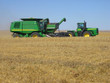 harvesting wheat in saskatchewan