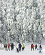 extreme cold downhill skiing 2