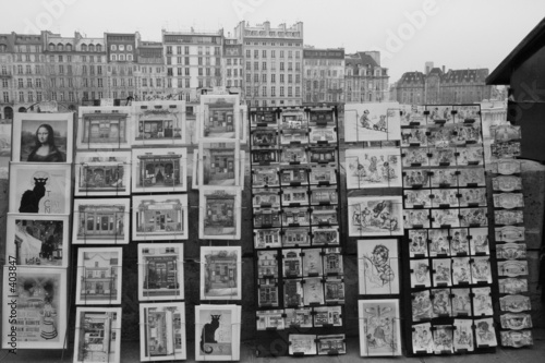 "les bouquinistes"