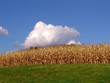 cloud puff