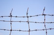 barbed wire