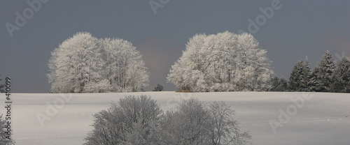 l'hiver au jura