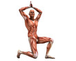 posing muscles