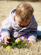 cute baby