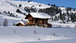 chalet les saisies