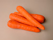carottes carottes