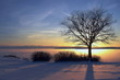 winter sunset