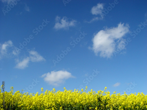 raps und himmel raps und himmel