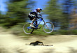 mountain bike racer