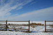 gate to frozen sea