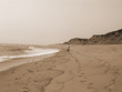 solitary walk on the beach in sepia