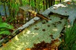 bamboo and stone fountain