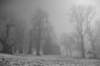 nebel