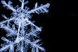 real snowflakes closeup