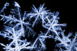 real snowflakes closeup